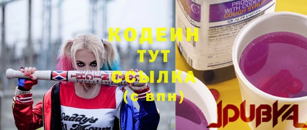 стафф Снежногорск