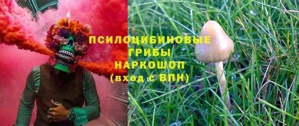 гидра Балахна