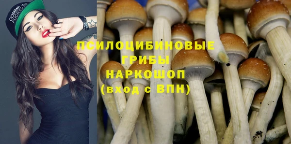 MESCALINE Богданович