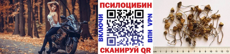 MEGA сайт  Олёкминск  Псилоцибиновые грибы мухоморы 